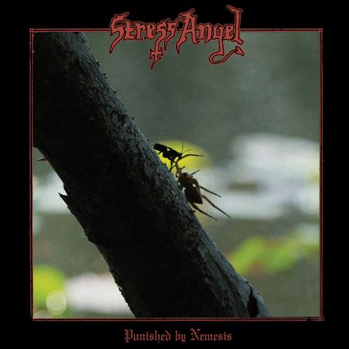 Stress Angel - Punished by Nemesis (2024)