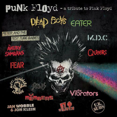 Verschillende artiesten - Punk Floyd - A Tribute To Pink Floyd (2024)